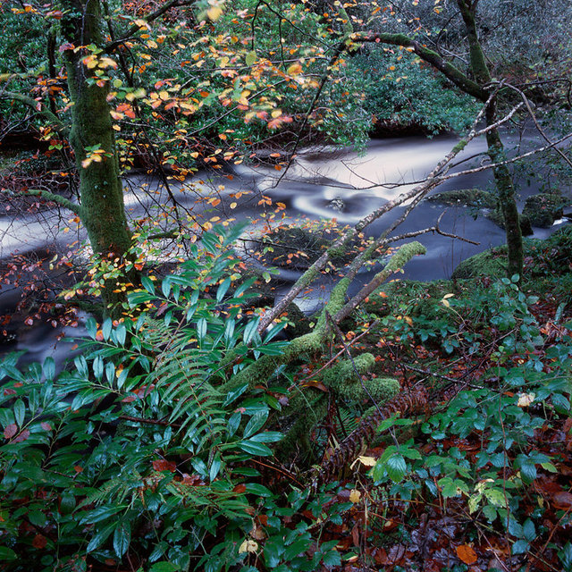 River Avon