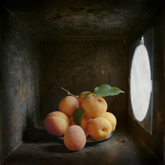 Apricots, c 2000