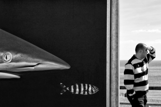 L1014149sef2_1500px.jpg