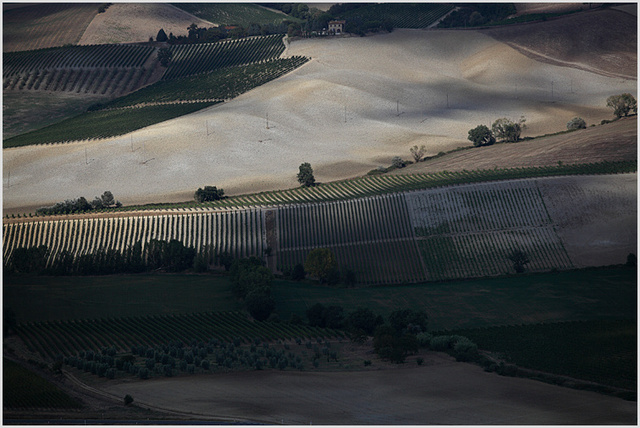 view from montalcino 1