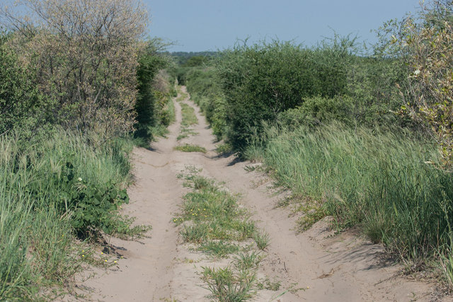 Central Kalahari National Park