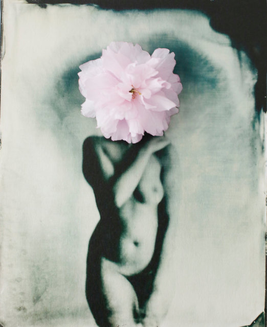 FLOWERS_1_042.JPG