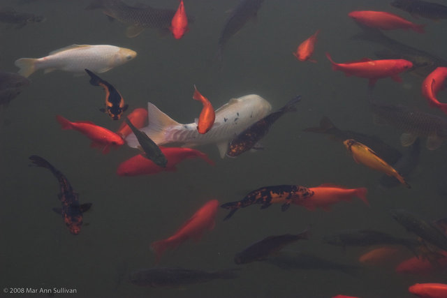 China 7-06 -1429.jpg