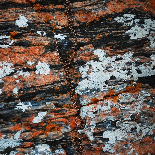 DSC_6545.jpg