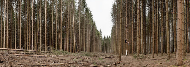 The Third Lie | Series of 6 panoramic images | 2012