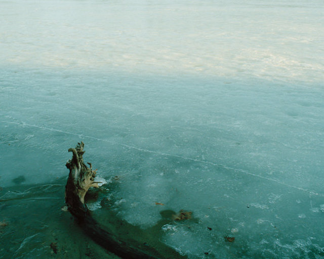 Walden Pond, Concord, MA, 2015