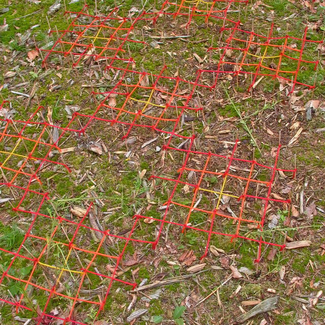 bloemenzee detail.jpg