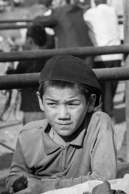 The Uyghurs, Western China