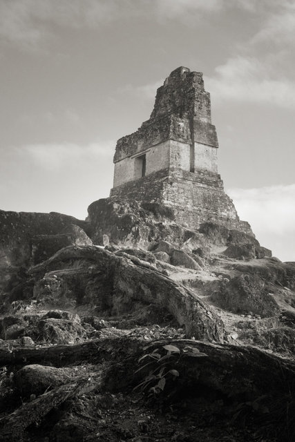 Tikal Ruins 