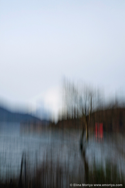 emoriya_homelandscape_web_The_battle_between_nature_and_mankind_leads_to_confusion.jpg