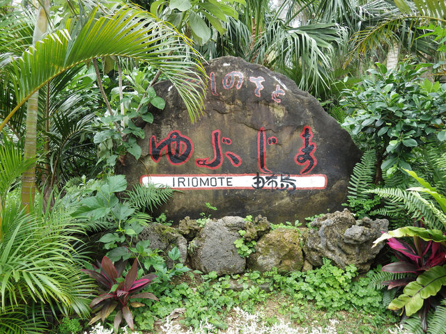 IMGP1147.JPG