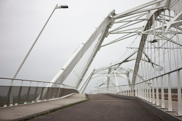 _31P4108.jpg