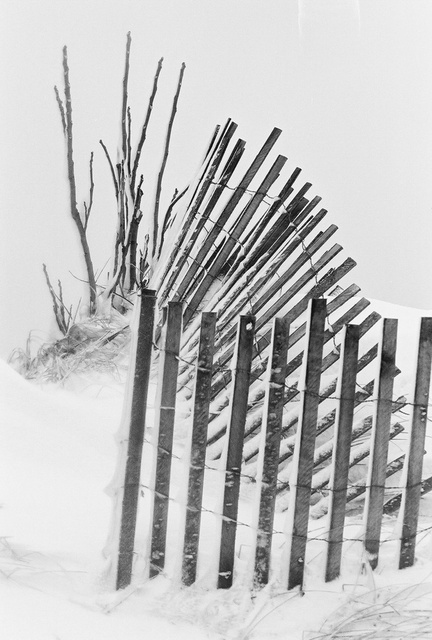 Snow Fence