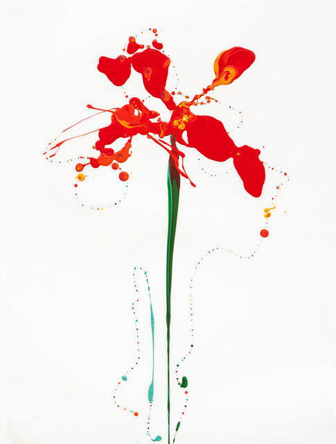 Flora XXV
