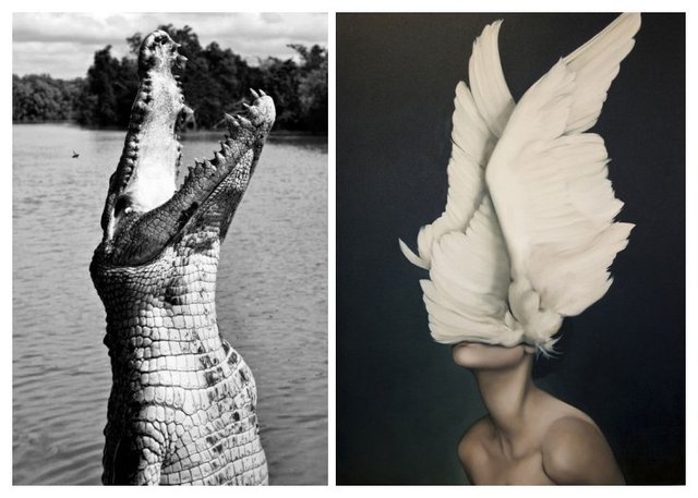 Duets: Memories in a Digital World-series statement below