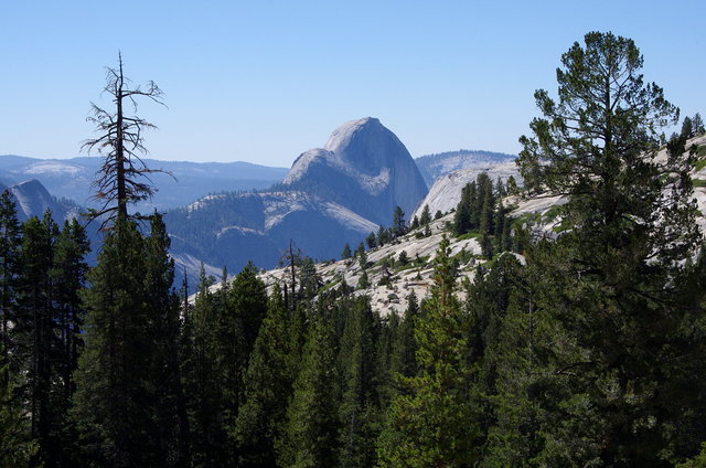 Half Dome from Olmsted Point (5) VB.JPG