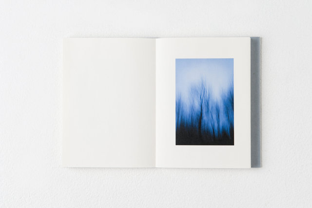 encounters, 33 pages, accordion book. Published by Datz Press in 2015.
