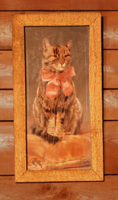 Cat with bow detail
