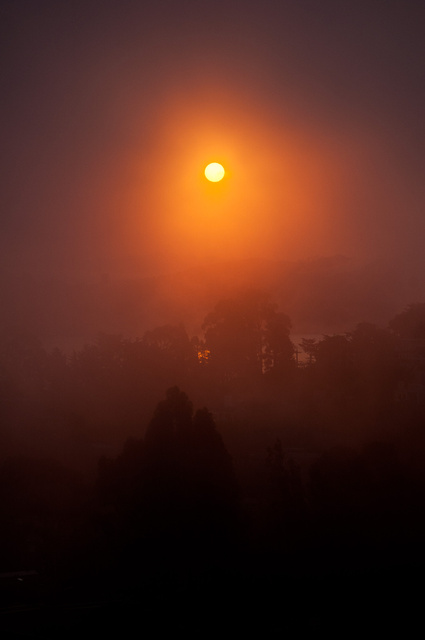Morning Mist.