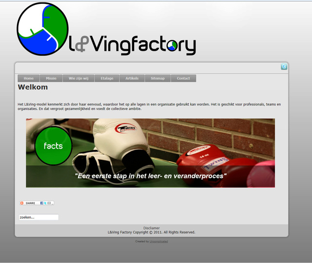 Webdesign for L&Vingfactory