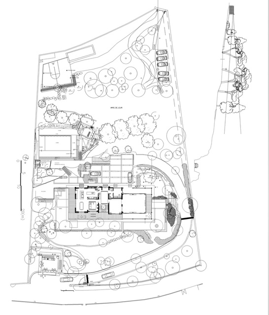 New Site Plan and Section