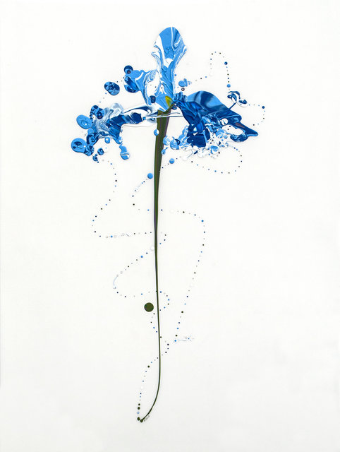 Flora XXVI