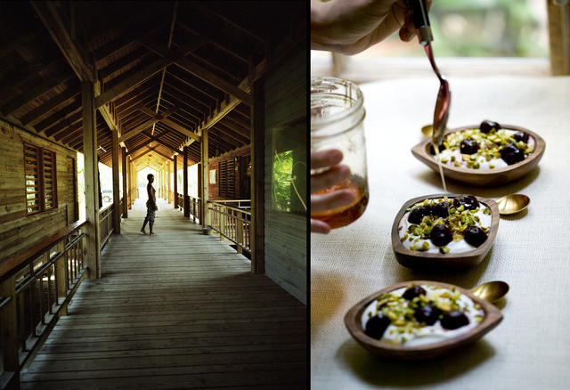 Honduras and honey.jpg