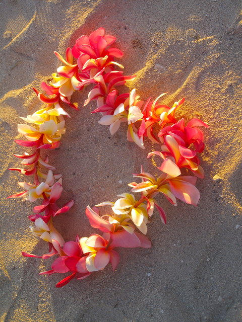 LEI LOVE