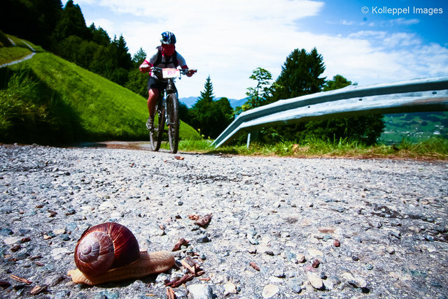 snail speed, Austrian Alps