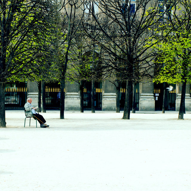Study 1 / Jardin du Palais Royal, Paris, France / 2015