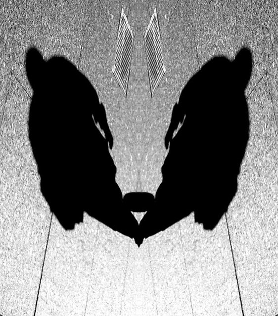 © CORDAY - Gray No. 14 - Twins