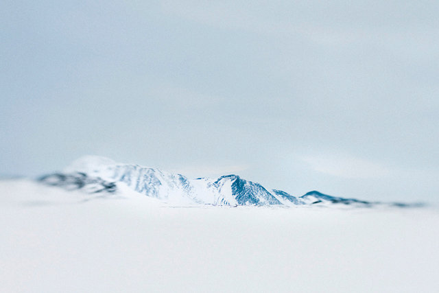 Frozen Still