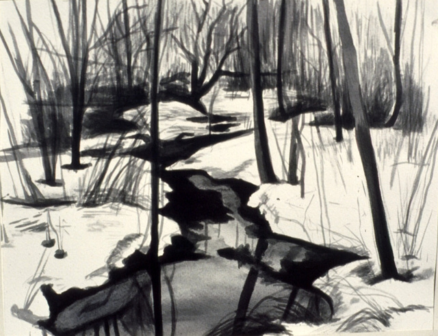 Winter Stream