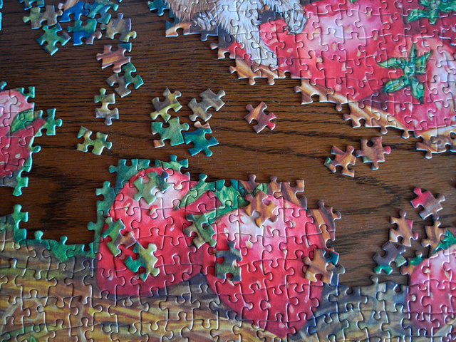 puzzle_2009.jpg