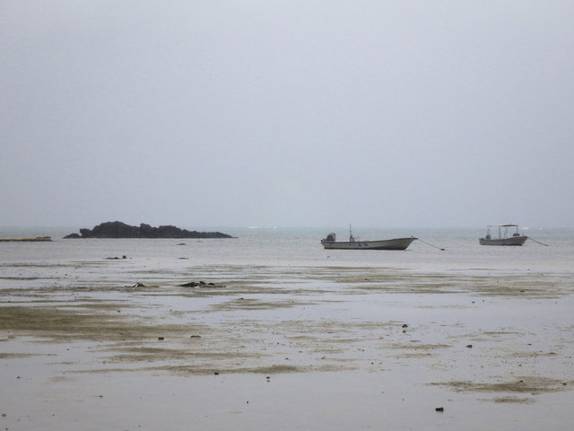 IMGP0824.JPG