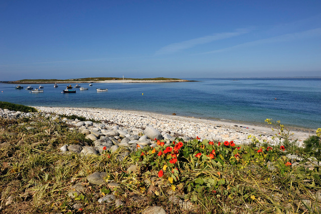 Île Molène, Finistère