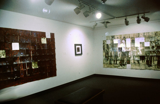 Cultural Landscape Installation view