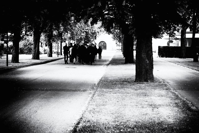 Funeral, Žale Cemetery, Ljubljana