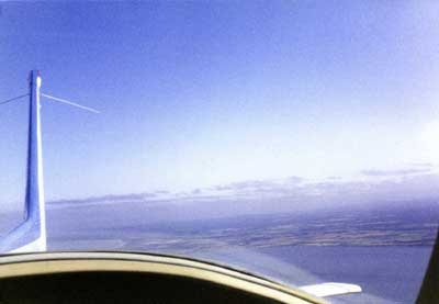 Tail Over Land and Sea by Alison Gracie