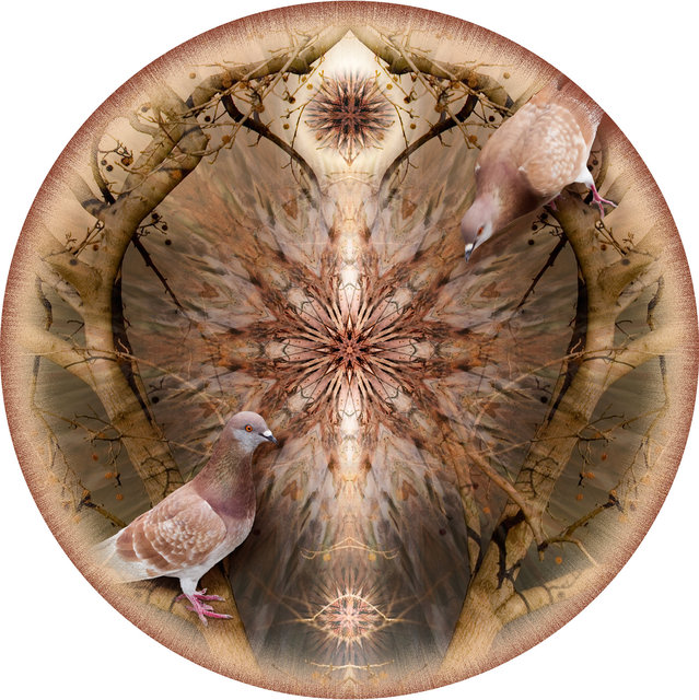 Circle 07 (Doves)
