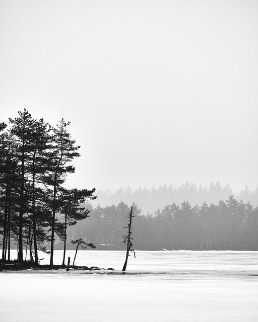 Morning Mist Komio, Study I