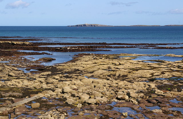 Inner Farne from Seahouses VB.JPG