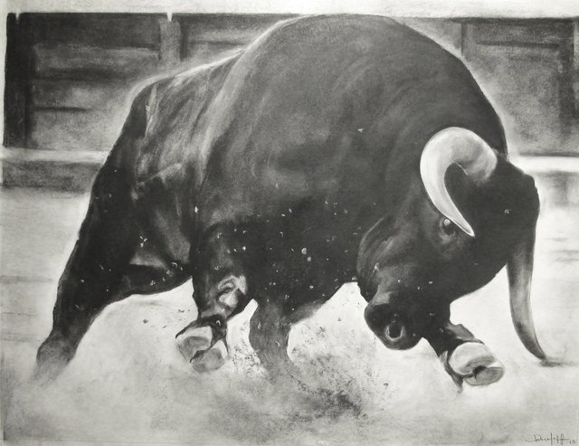 Black Bull