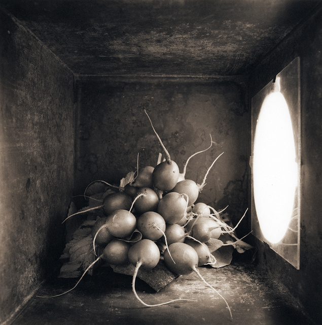 Radishes, c 2000