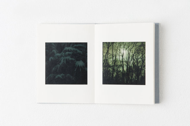 encounters, 33 pages, accordion book. Published by Datz Press in 2015.