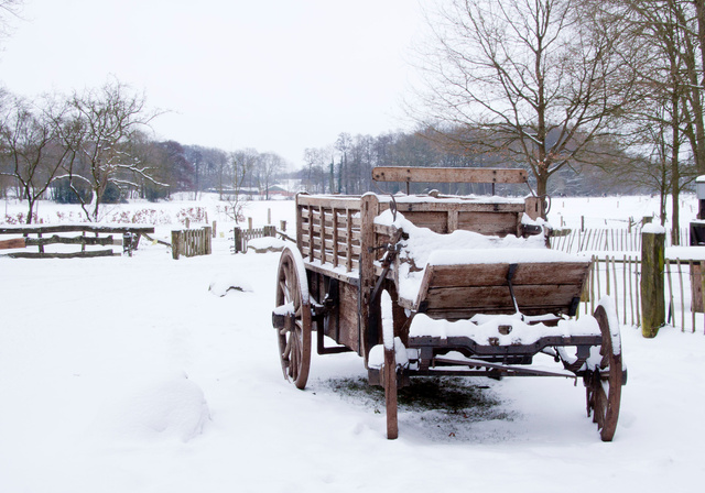 Oude veetransport kar