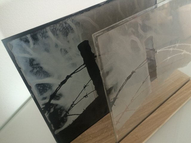 Installation-VERDUN IN MEMORIAM-collodion-015.JPG