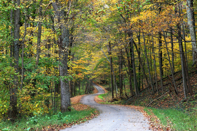 A country road in southern Ohio.