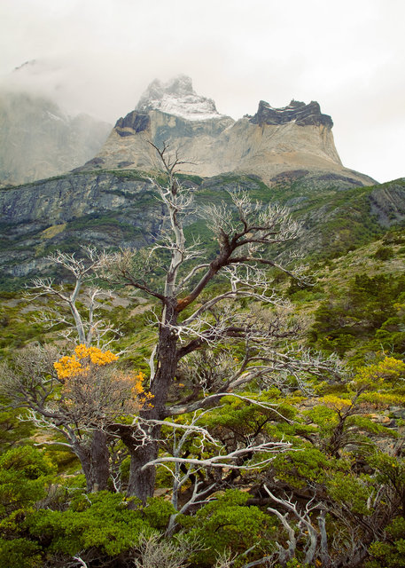 The Horns of Paine