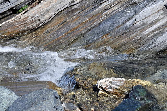 DSC_0394.JPG